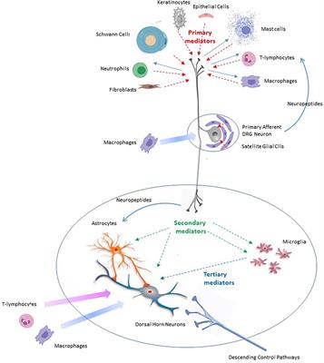 Neuropathic pain; what we know and what we should do about it